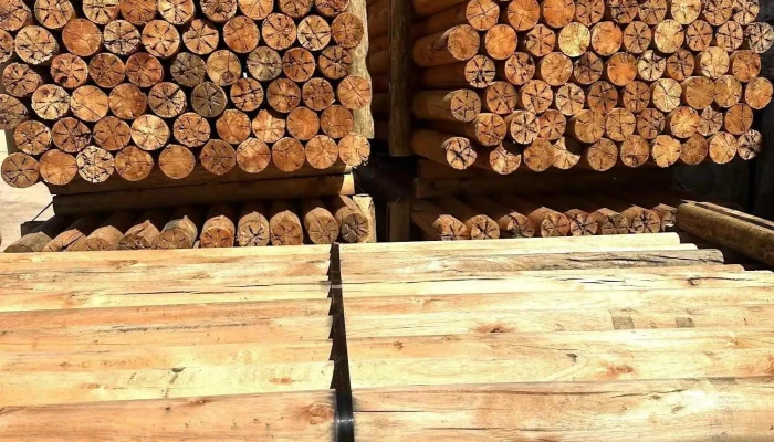 Agromadera's Srl - Sauce