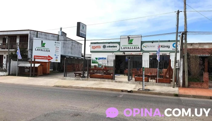 Agroveterinaria Lavalleja - 30000 Minas