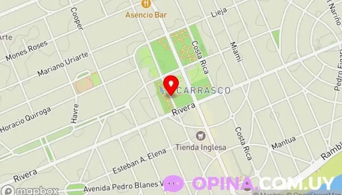 mapa de AIP - Alberto Inciarte Propiedades Agencia inmobiliaria en Montevideo