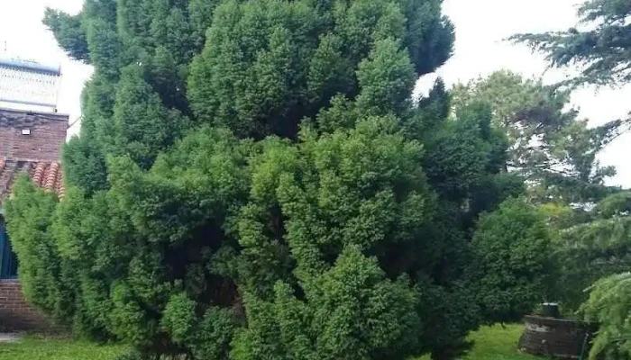 Alejandra Meikle Negocios Inmobiliarios - Ciudad De La Costa