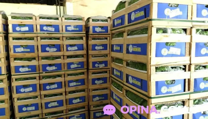 Alejandro Albez - Comercial de Frutas y Verduras - 60000 Paysandú