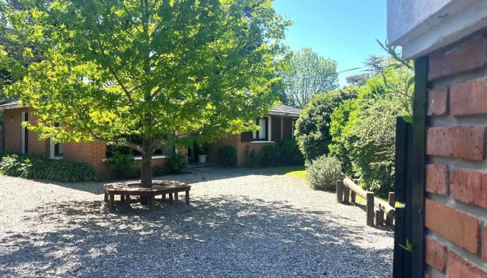 Alianza Maldonado - Punta Del Este