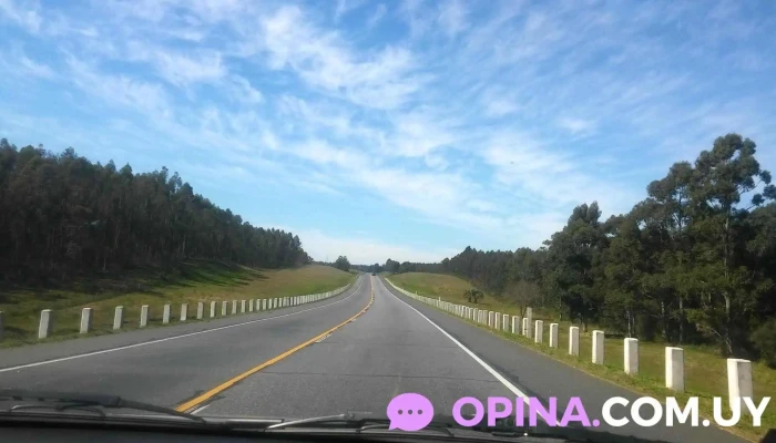 Aliro S.r.l Pando - 15600 Pando