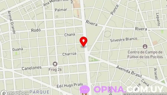 mapa de Alliance Française de Montevideo Academia de idiomas, Centro cultural en Montevideo