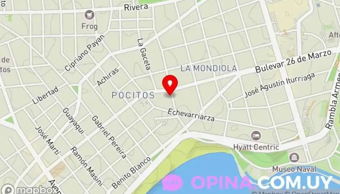 mapa de Alliance Group Real Estate Agencia inmobiliaria en Montevideo