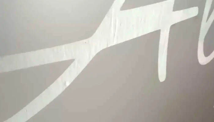 Allonge Espacio Danza Videos - Treinta y Tres