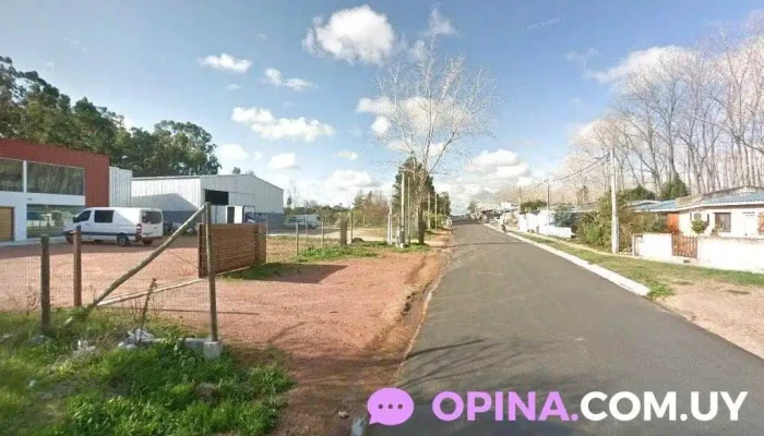 Alma'z Distribuciones - Maldonado