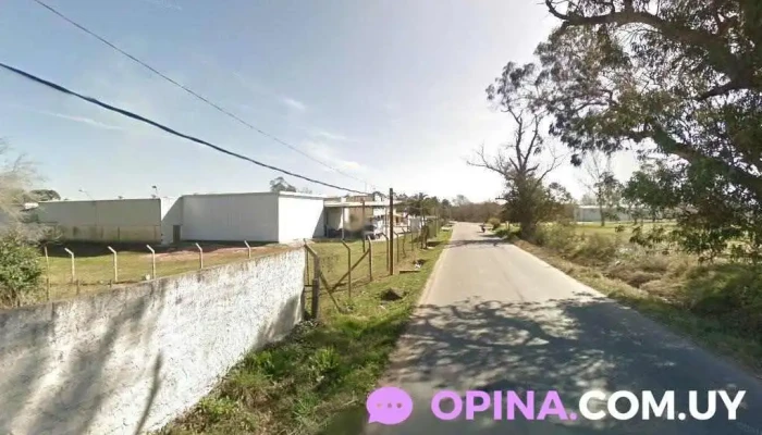 Almacén - 12400 Montevideo