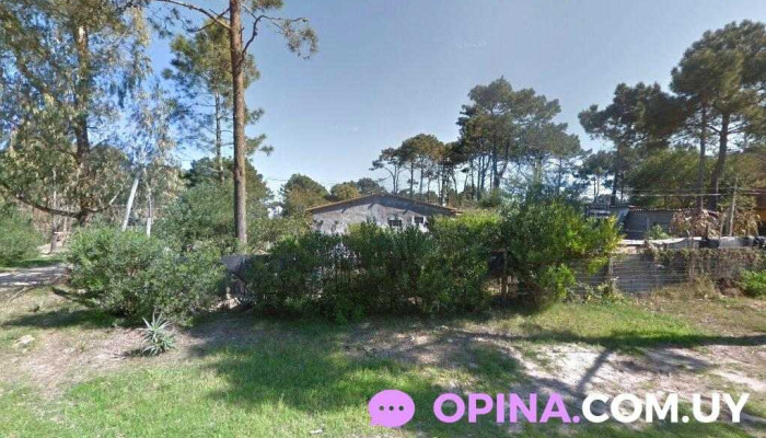 Almacén - 27400 Puerto La Paloma