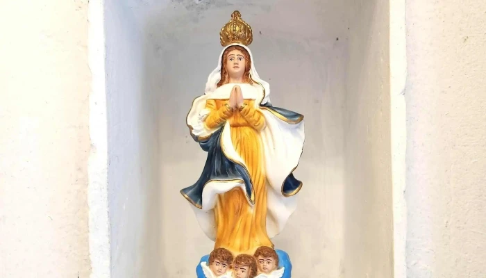 Almacen De Cosas Videos - Col. del Sacramento