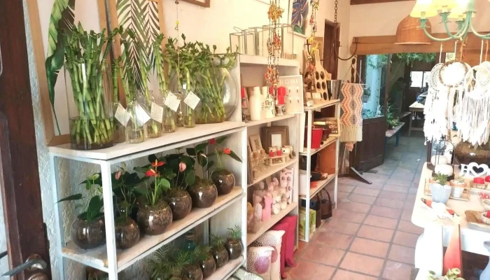 Almacén Deco - 27000 Rocha