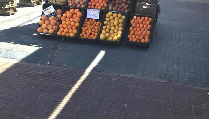 Almacén Del Barrio - Conciliación 3914