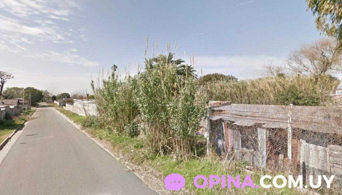 Almacén el 13 - 12200 Montevideo