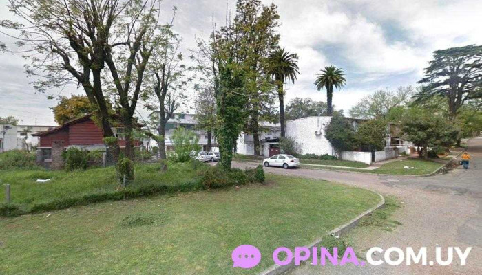 Almacen K y M - 12900 Montevideo