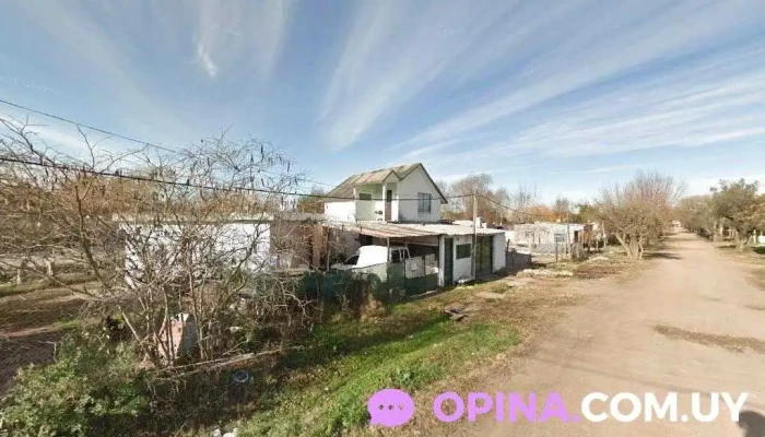 Almacén La Discípula - 15900 18 De Mayo