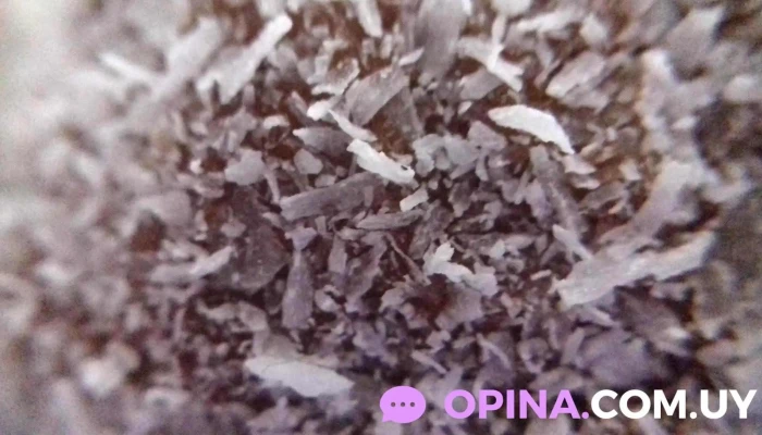 Almacén La Nueva Era - 16000 Atlántida