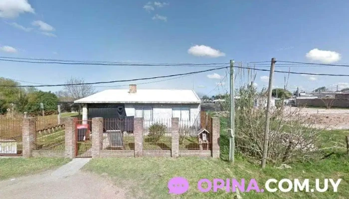 Almacén Minuana - Don Luciano Larrañaga 668