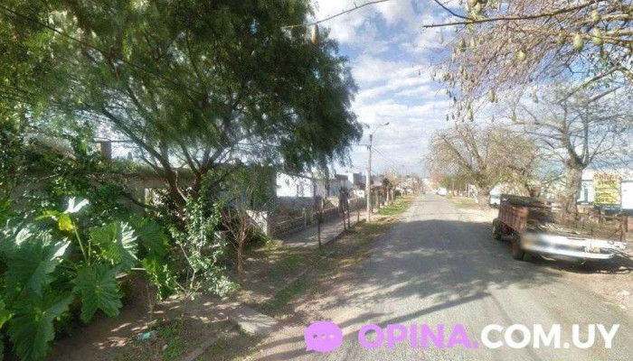 Almacén Nilda - 70100 Carmelo