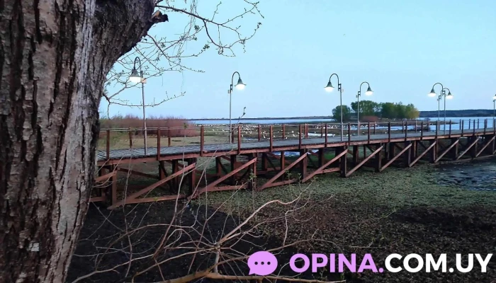 Alojamiento Zimmermann - Villa Soriano