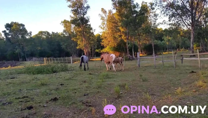 Alquimia Spa Y Posada -  De Los Visitantes - Guichón