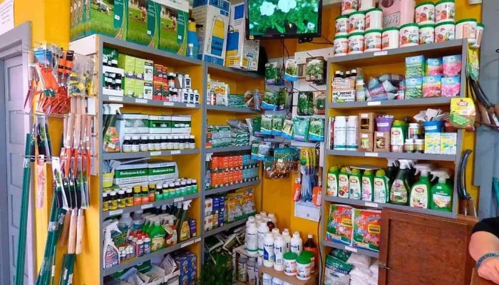 Álvarez Cultivos - 20000 Maldonado