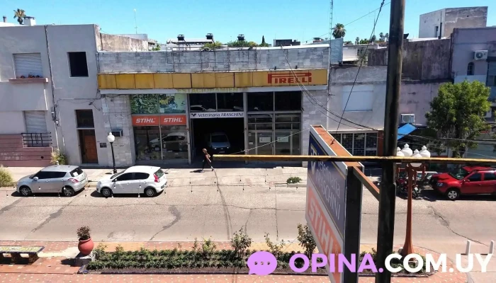 Alvarez Neumáticos - 60000 Paysandú