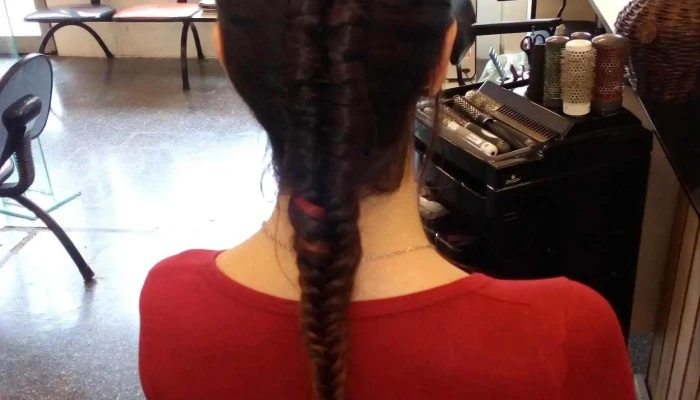 Amado - 11200 Montevideo