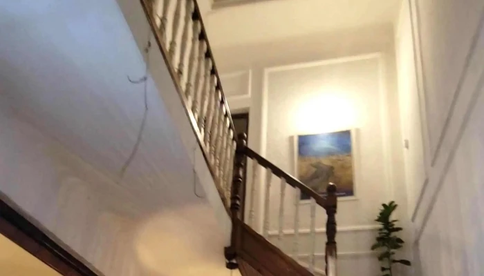 Amazonia -    Espacio Entre Libros Direccion - Montevideo