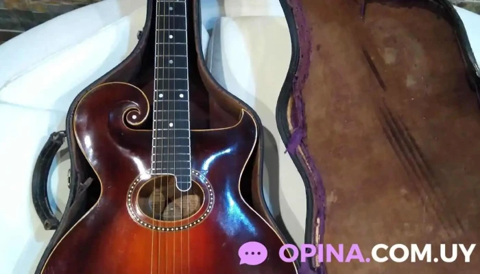 American University Consortium -  Del Propietario - Juan L. Lacaze