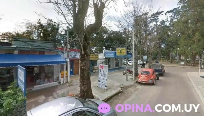 Amigos Peludos - 15200 Atlántida