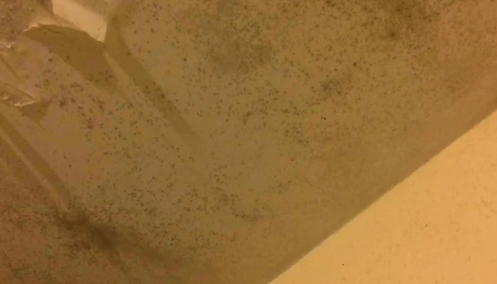 Anfil Inmobiliaria y Estudio Contable - Montevideo