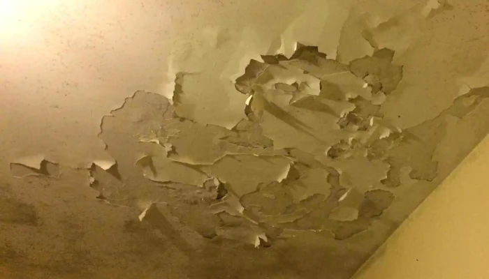 Anfil Inmobiliaria Y Estudio Contable -  Telefono - Montevideo