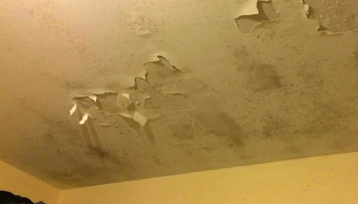 Anfil Inmobiliaria Y Estudio Contable -  Ubicacion - Montevideo