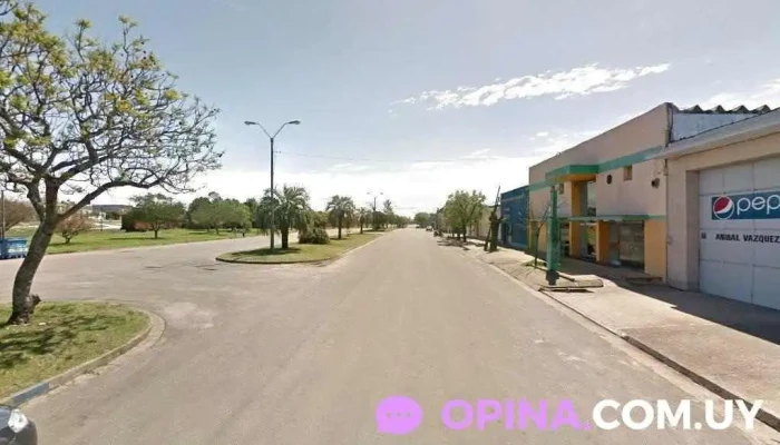 Anibal Vazquez Pdlt - 45100 Paso De Los Toros