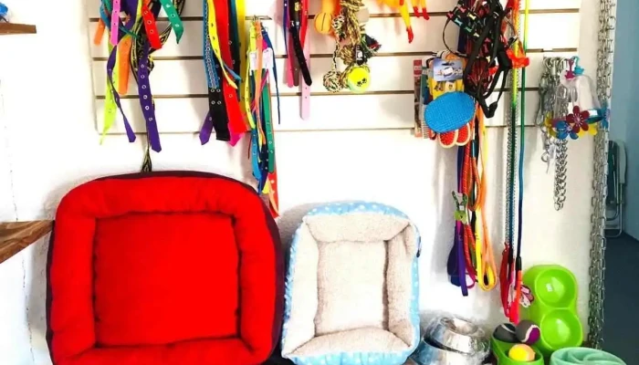 Animalia - San Marcos