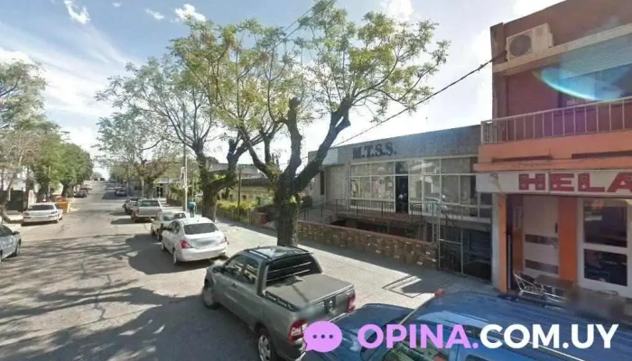 Animall - Clínica Veterinaria y Pet Shop - 40000 Rivera