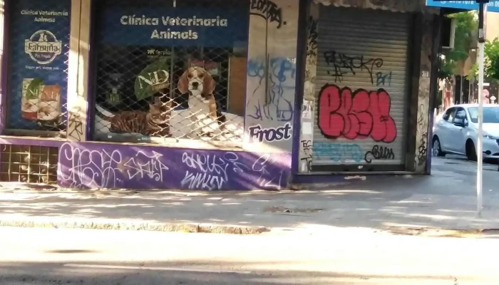 Animals Veterinaria - Bv. España