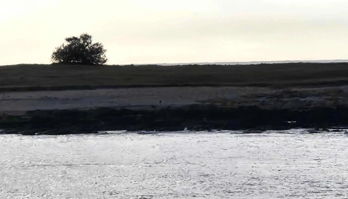 Apartamentos Alborada -  Instagram - La Paloma