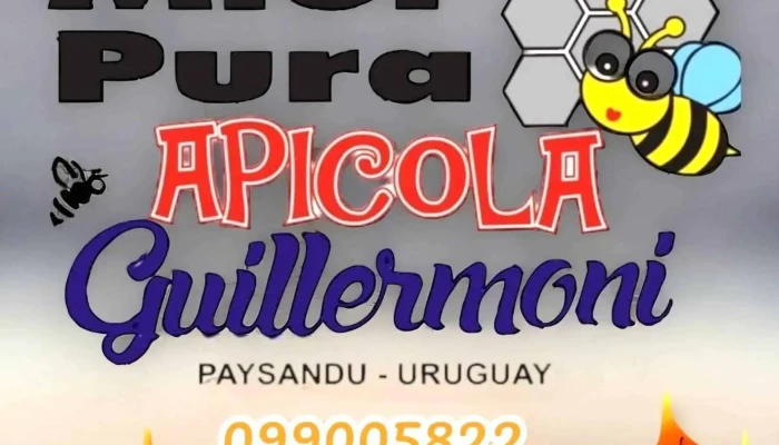 Apicola Guillermoni -  Del Propietario - Paysandú