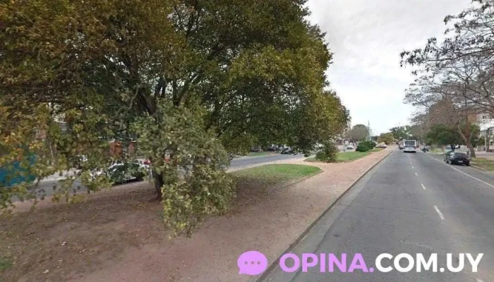 Ara Estudio - Montevideo