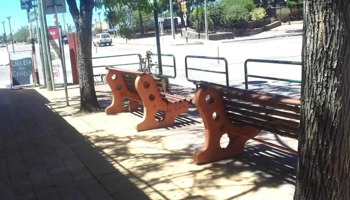 Arbol del triunfo - Dr. Berruti