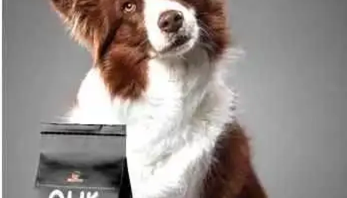 Arida Mayorista Pet - 11400 Montevideo