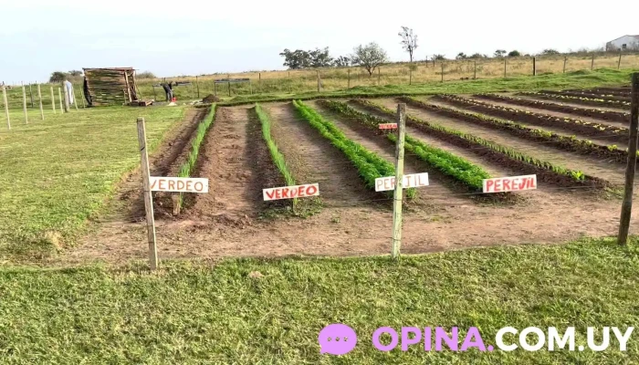 Artigas Comunidad Terapeutica Bethania Del Propietario - Artigas