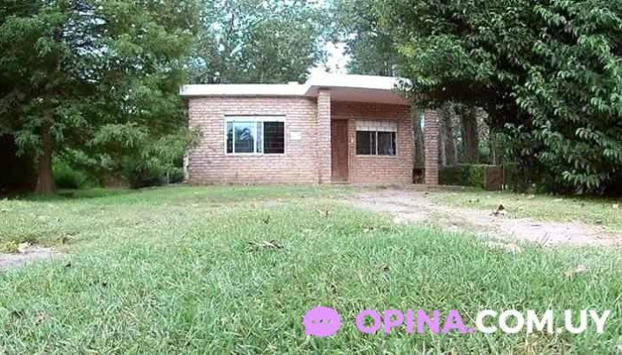 Aspen Tree School Of English -  Instagram - Ciudad de la Costa