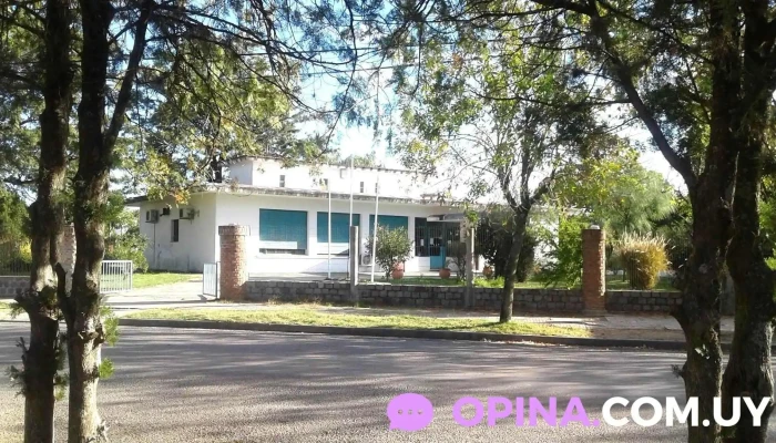 Asse -  Precios - Ecilda Paullier