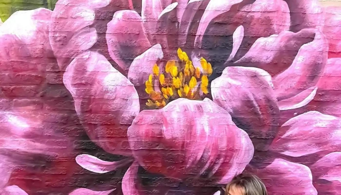 Atelier De Arte Mikele -  Abierto Ahora - Maldonado