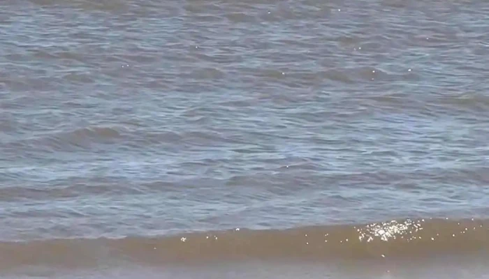 Atlantida -  Videos - Las Toscas