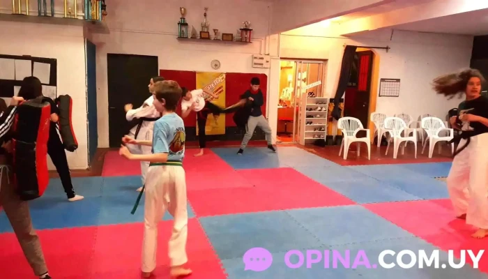 Atlantik Artes Marciales -  Entrenamiento - Atlántida