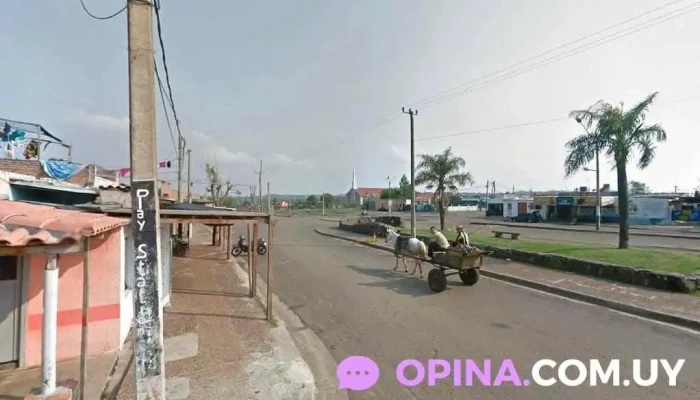 Auto escuela César - Artigas