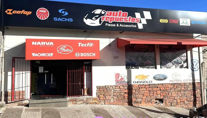 Auto Repuestos - 40000 Rivera